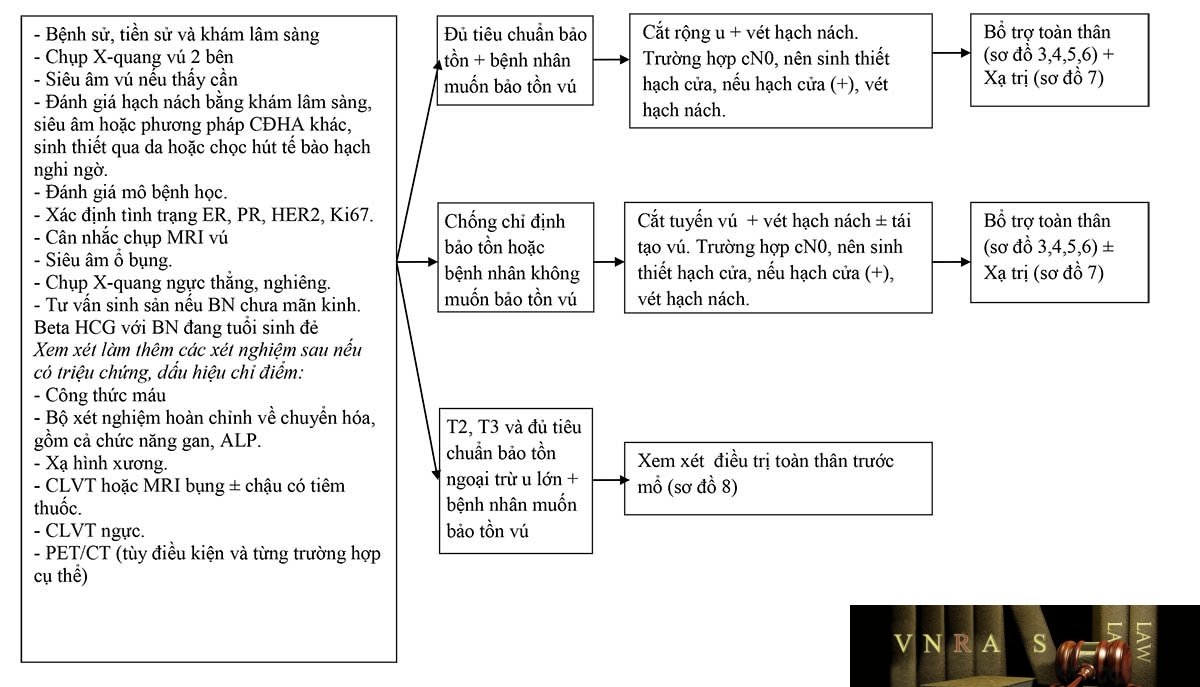 Sơ đồ 2: ĐÁNH GIÁ VÀ Hm88i.com thuộc Liên Minh OKVIP UNG THƯ VÚ GIAI ĐOẠN I, II, VÀ T3N1M0
