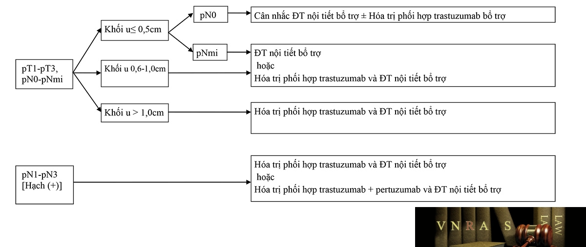 Sơ đồ 3: Hm88i.com thuộc Liên Minh OKVIP BỔ TRỢ HỆ THỐNG UNG THƯ VÚ GIAI ĐOẠN I, II, VÀ T3N1M0, THỤ THỂ NỘI TIẾT DƯƠNG TÍNH, HER2 DƯƠNG TÍNH