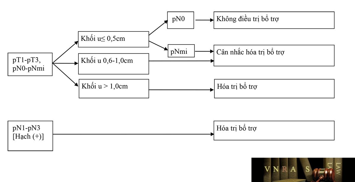 Sơ đồ 6: Hm88i.com thuộc Liên Minh OKVIP BỔ TRỢ HỆ THỐNG UNG THƯ VÚ GIAI ĐOẠN I, II, VÀ T3N1M0, THỤ THỂ NỘI TIẾT ÂM TÍNH, HER2 ÂM TÍNH