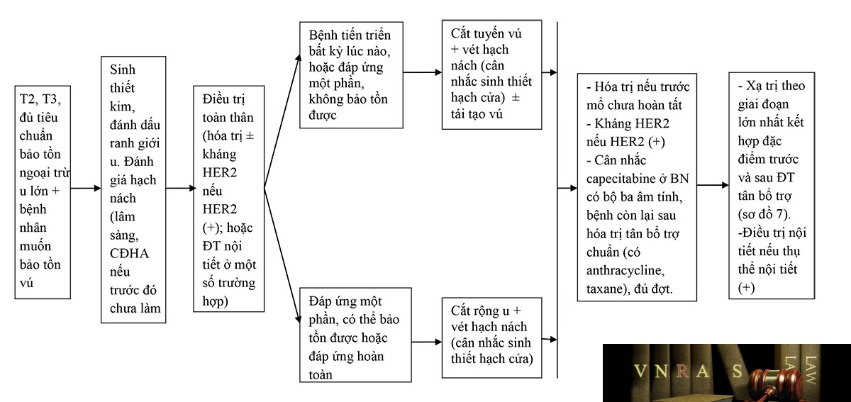 Sơ đồ 8: Hm88i.com thuộc Liên Minh OKVIP UNG THƯ VÚ MỔ ĐƯỢC CÓ Hm88i.com thuộc Liên Minh OKVIP TOÀN THÂN TRƯỚC MỔ NHẰM BẢO TỒN VÚ