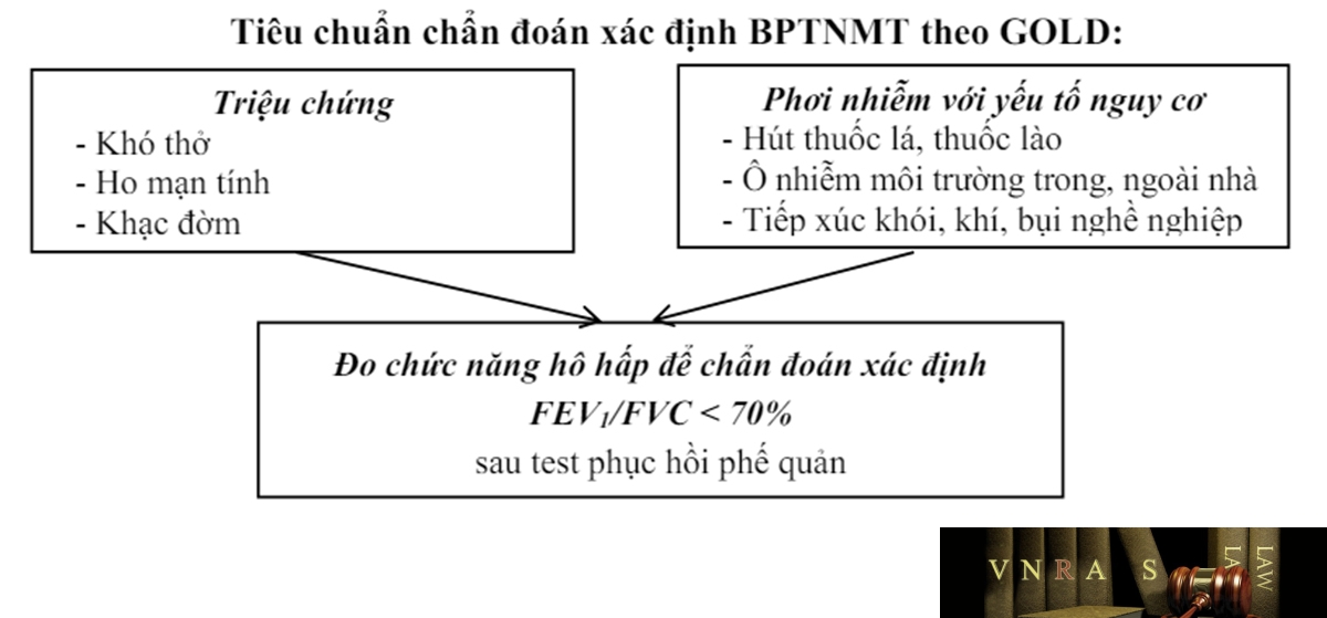 Biểu đồ 1.1. Lưu đồ chẩn đoán BPTNMT theo GOLD 2022