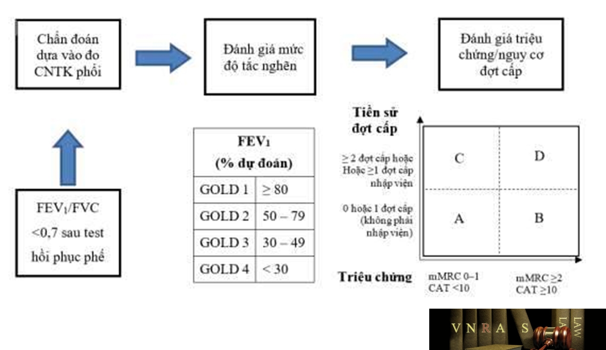Biểu đồ 1.2. Đánh giá BPTNMT theo nhóm ABCD (Theo GOLD 2022)