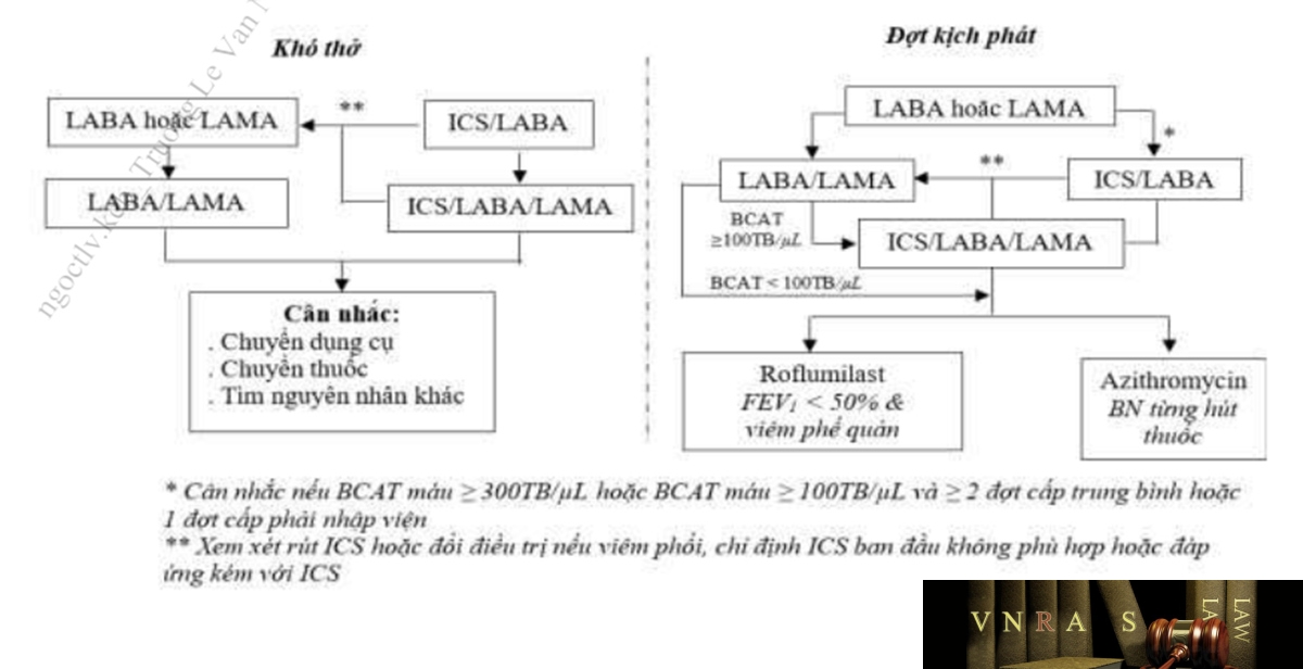 Biểu đồ 2.1 Sơ đồ chuyển đổi điều trị thuốc