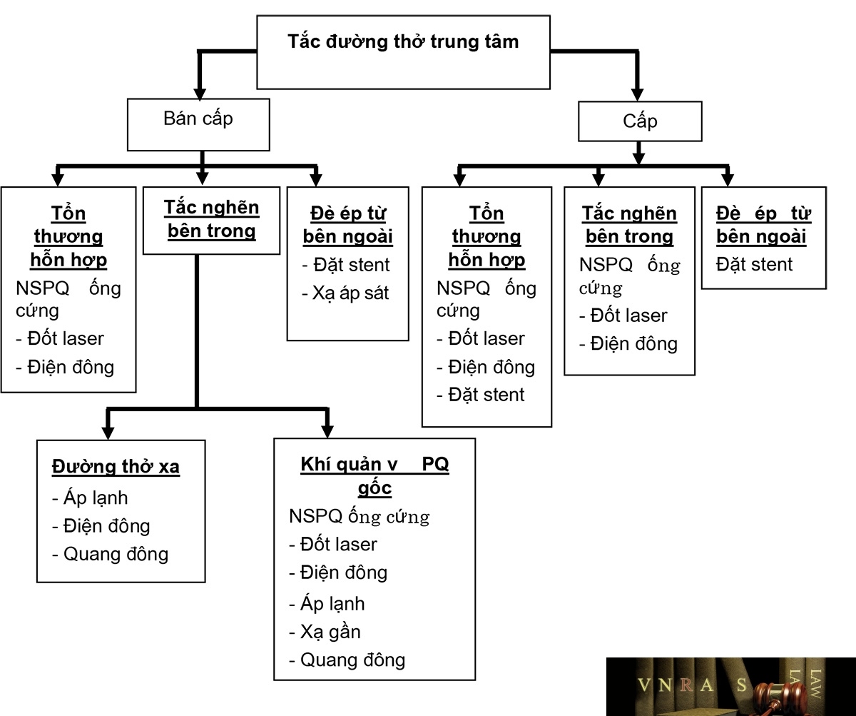 Sơ đồ 4: Lựa chọn biện pháp điều trị với các trường hợp tắc đường thở trung tâm do ung thư