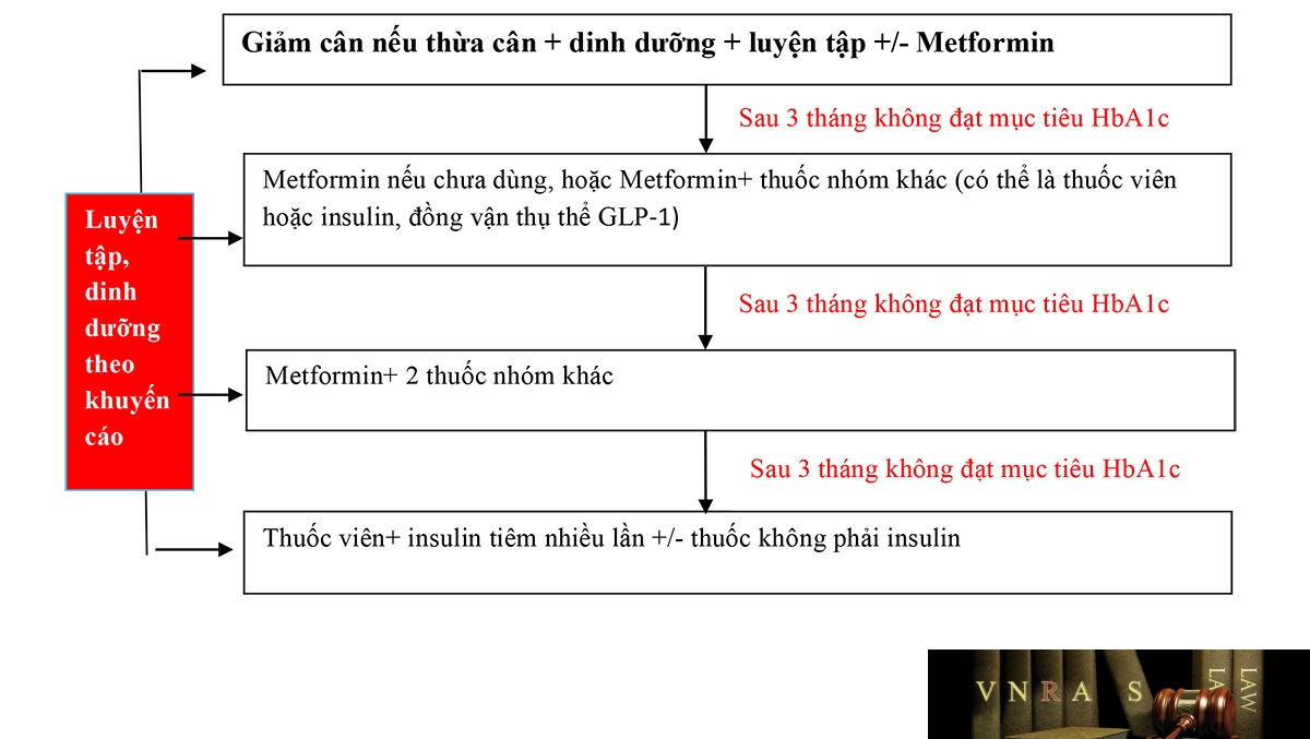 Hình 1: Sơ đồ lựa chọn thuốc và phương pháp điều trị đái tháo đường típ 2