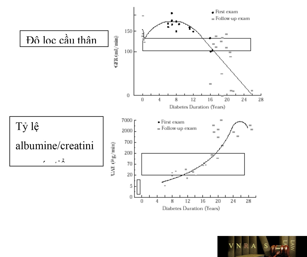 Hình 1: Thay đổi của độ lọc cầu thận và tỷ lệ albumine/creatinine niệu theo thời gian mắc bệnh ĐTĐ type 1
