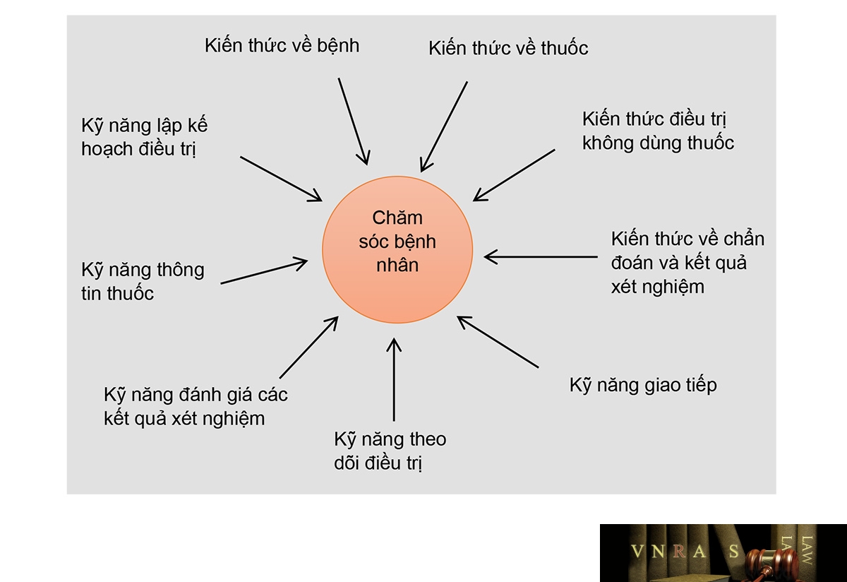 Hình 1.1. Những kỹ năng và kiến thức của DSLS trong chăm sóc người bệnh
