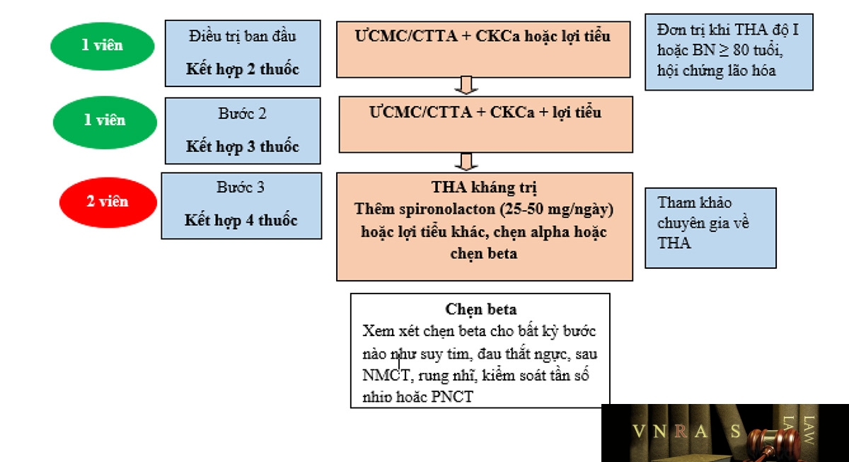 Hình 3.3. Chiến lược điều trị thuốc với THA không biến chứng theo Khuyến cáo về chẩn đoán và điều trị THA của Hội Tim mạch học Việt Nam 2018