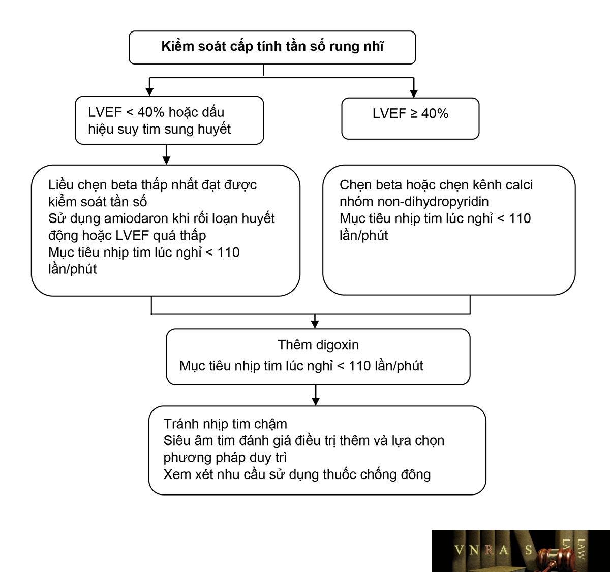 Hình 3.6. Kiểm soát cấp tính tần số trong rung nhĩ