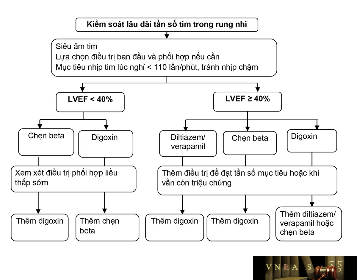 Hình 3.7. Kiểm soát tần số tim trong điều trị rung nhĩ