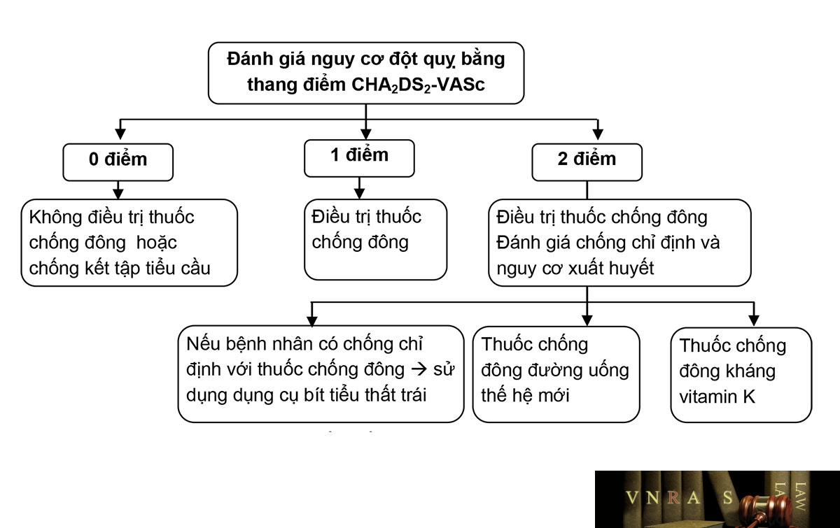 Hình 3.8. Dự phòng huyết khối ở bệnh nhân rung nhĩ không do van tim