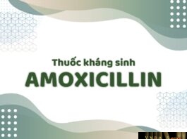 Amoxicillin