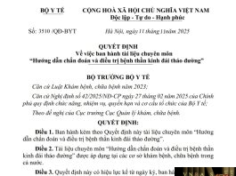 Hm88 link đăng nhập số : 3510/QĐ-BYT ngày 11 tháng 11 năm 2025 Về việc ban hành tài liệu chuyên môn “Hướng dẫn chẩn đoán và điều trị bệnh thần kinh đái tháo đường”